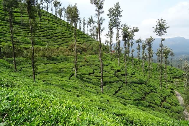 Places to Visit Near Bangalore Indyviews