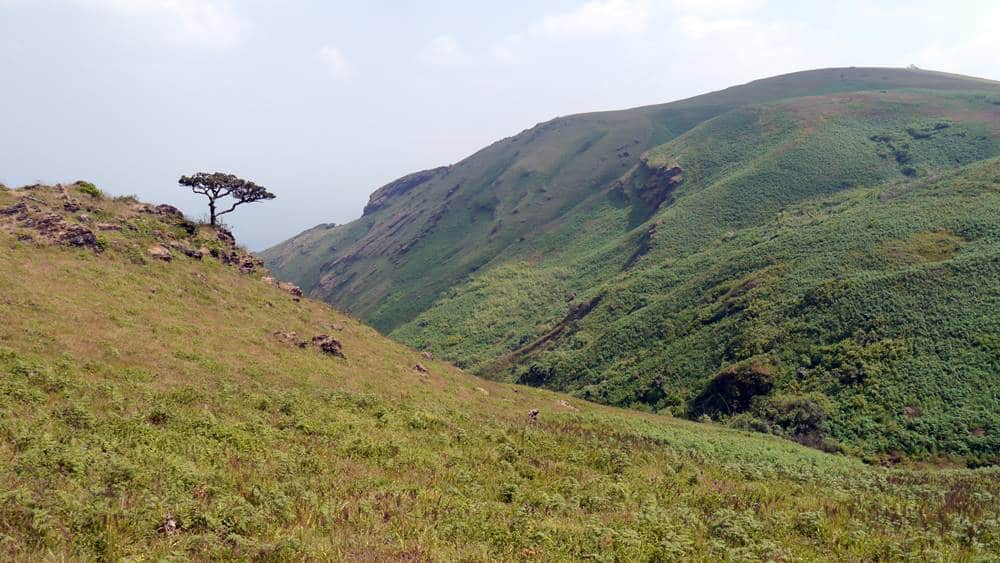 15 Best Places to Visit in Chikmagalur: Exploring the Unexplored