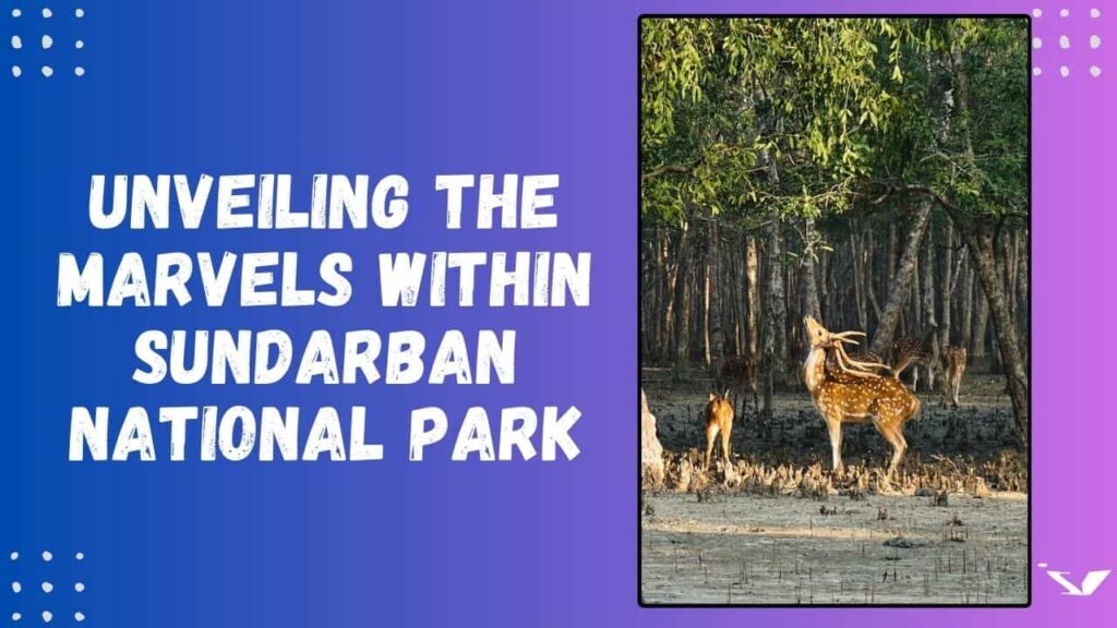 Sundarban National Park